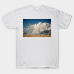 Clouds Touching Earth T-Shirt